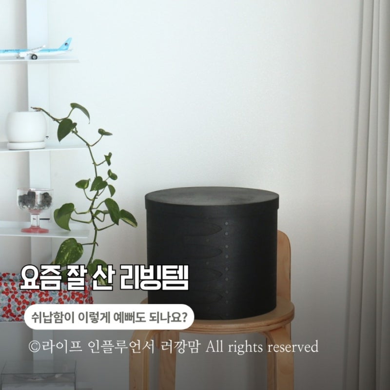 도르리 셰이커박스 쉐이커박스, 수납함이 이렇게 예뻐도 되나요?