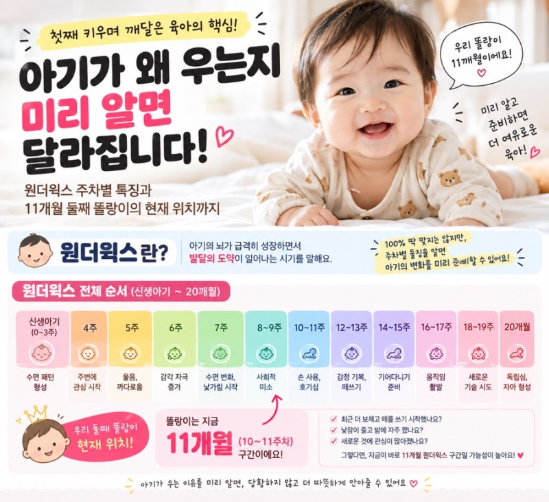 [육아일기] 신생아부터 20개월 원더윅스 10단계 총정리 (11개월 똘랑이 주차수 포함)