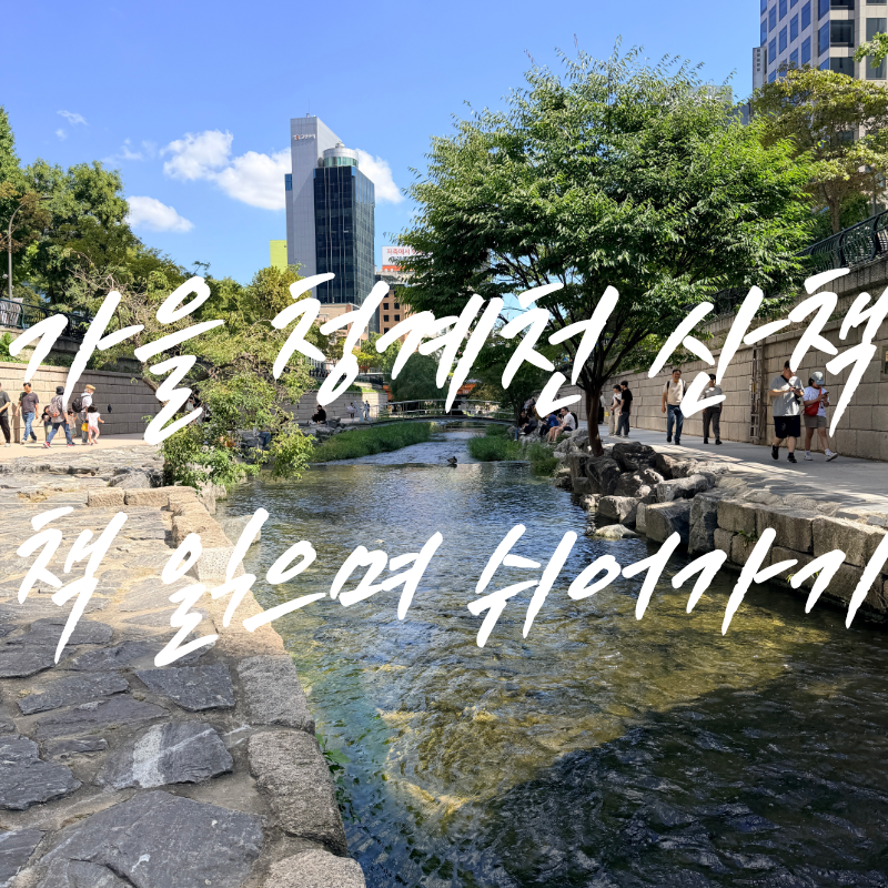 가을 서울 가성비 나들이청계천 산책하고 책읽는 맑은냇가에서 쉬어가기