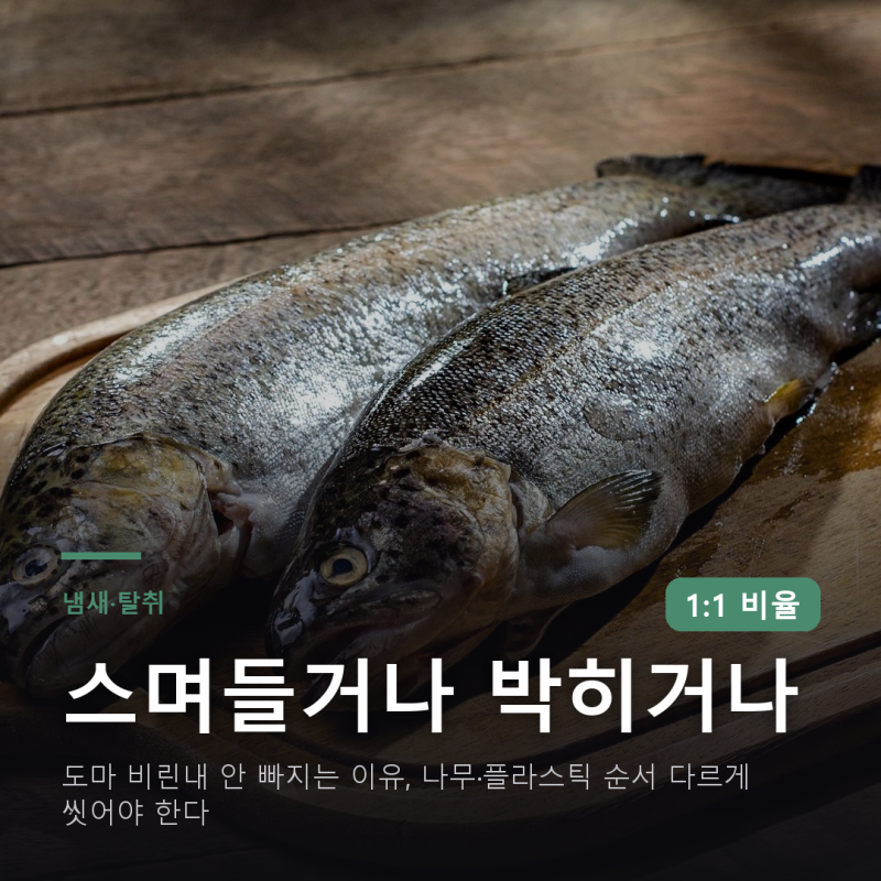 도마 비린내 안 빠지는 이유, 나무·플라스틱 순서 다르게 씻어야 한다