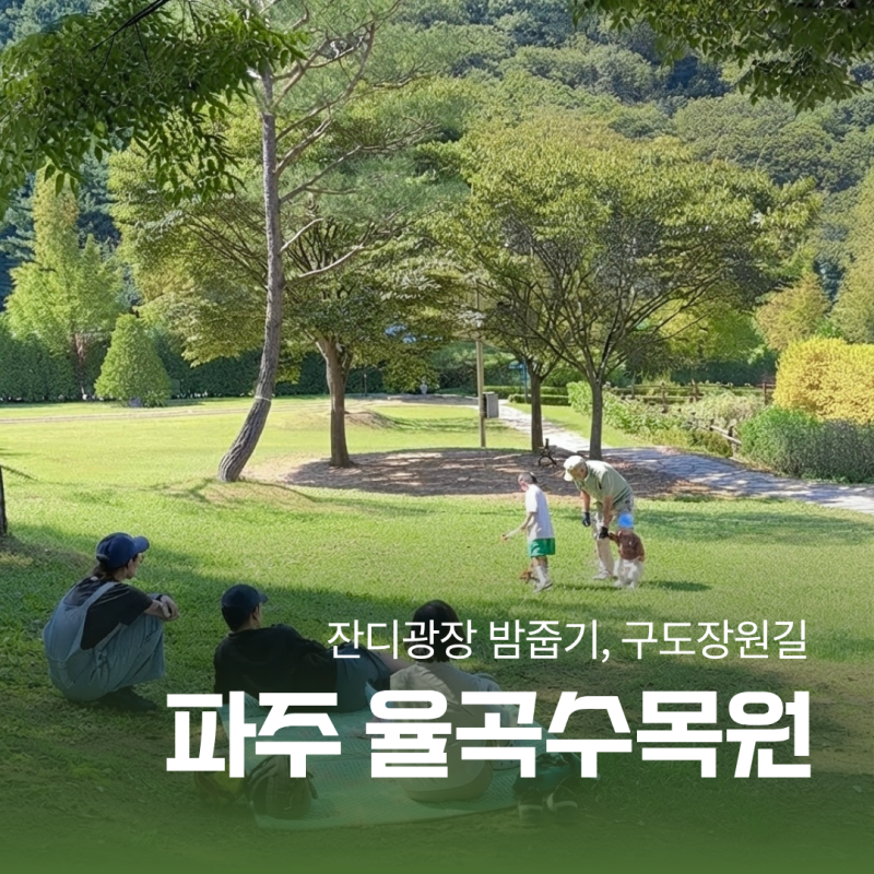 파주 율곡수목원 잔디광장 밤줍기 포인트와 구절초 개화시기