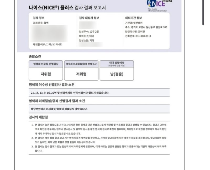 [임신기록] 임신 12주차 니프티검사(NIPT) 후기｜아기 성별 확인, 장꾸맘·홍이맘 예측 결과(일....