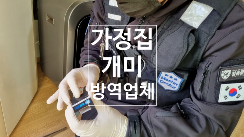 가정집 개미방역은 종류부터 알아야한다는데? 업체의 생각.