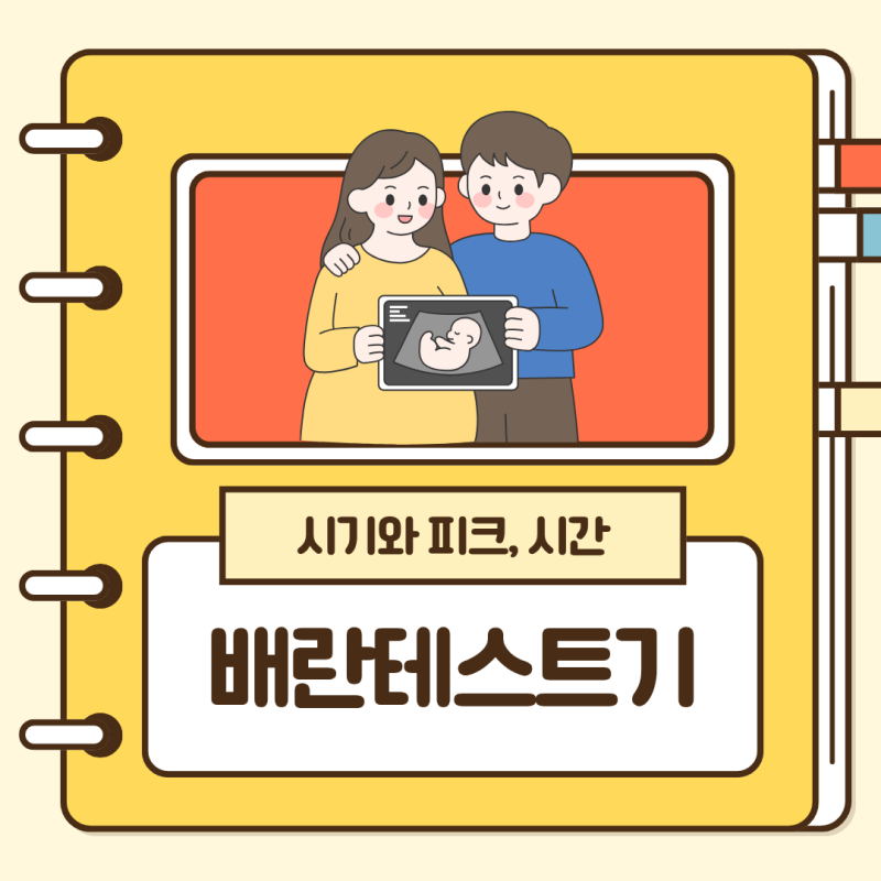 배란테스트기 사용법 언제부터? 두줄 피크 시간 어플 보는 법