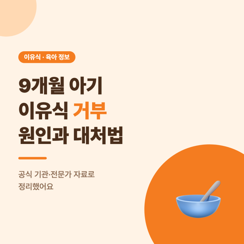 9개월 아기 이유식 거부 원인과 대처법