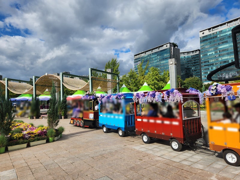 Goyang City Attractions in October: Ilsan Lake Park Goyang Autumn Flower Festival Family Outing Review