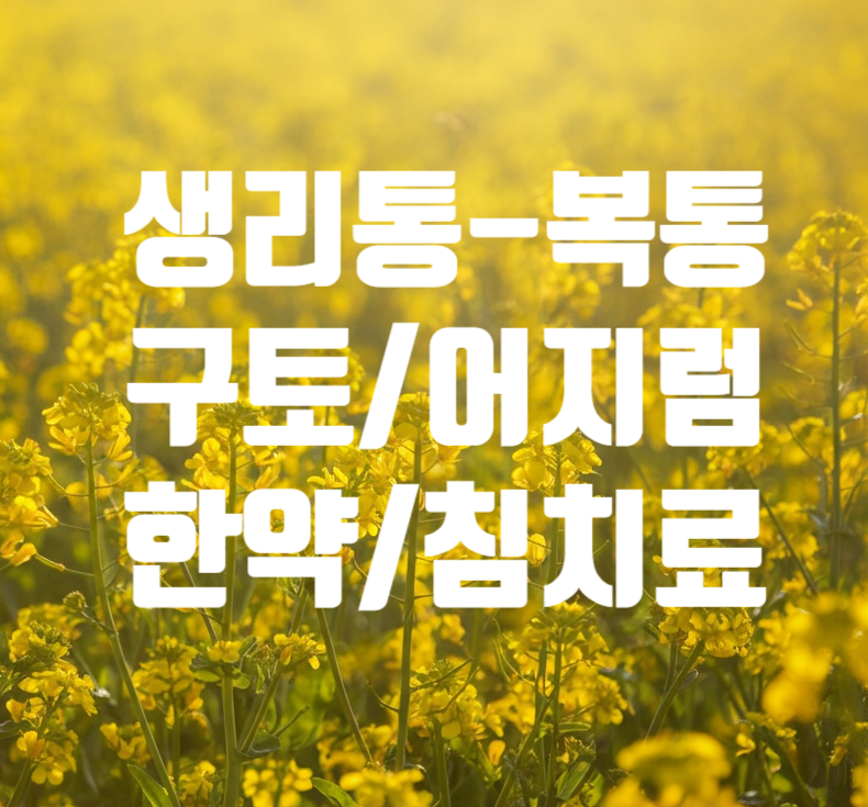 생리통, 구토 어지럼증 동반 – 한약/침치료