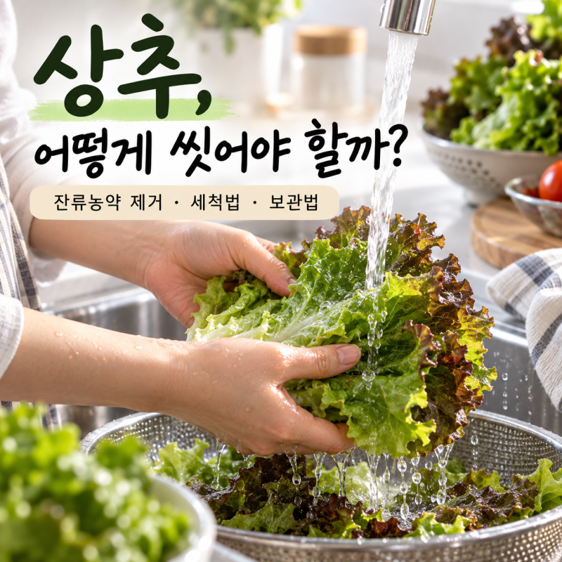 상추 씻는 법, 물에 몇 분 담가야 할까?｜잔류농약 제거와 쌈채소 세척·보관법