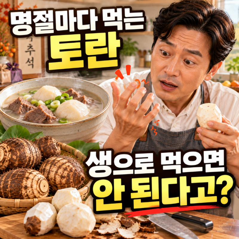 추석에 먹는 토란, 왜 꼭 익혀 먹어야 할까? 토란 생으로 먹으면 입안이 아린 이유부터 손이 ....