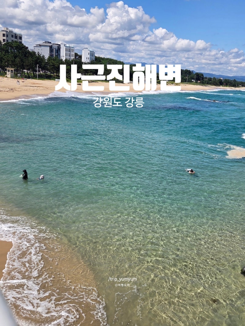 강릉 사근진해변 가볼만한곳 해중공원 전망대 파스텔 테트라포드 코스모스 전화부스 포토존....
