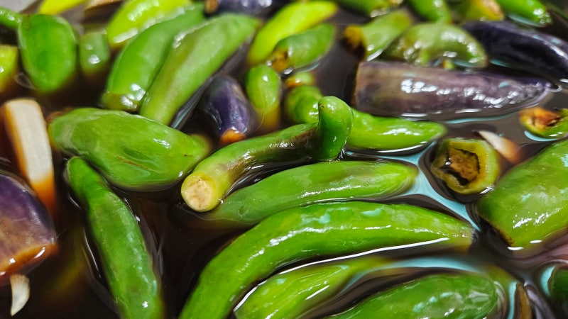 고추 장아찌 레시피 청양 양파 간장 장아찌 만드는 방법
