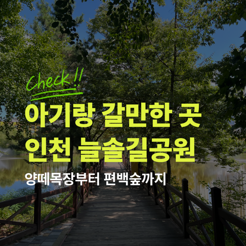 주말 나들이 아이와 갈만한 곳 인천 늘솔길공원 양떼목장, 아기와 함께 가을 피크닉 즐기기