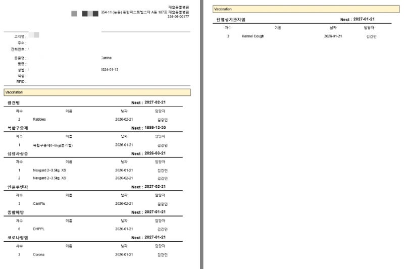 애견동반호텔 제출용 강아지 예방접종 증명서 카톡으로 간편 발급받기