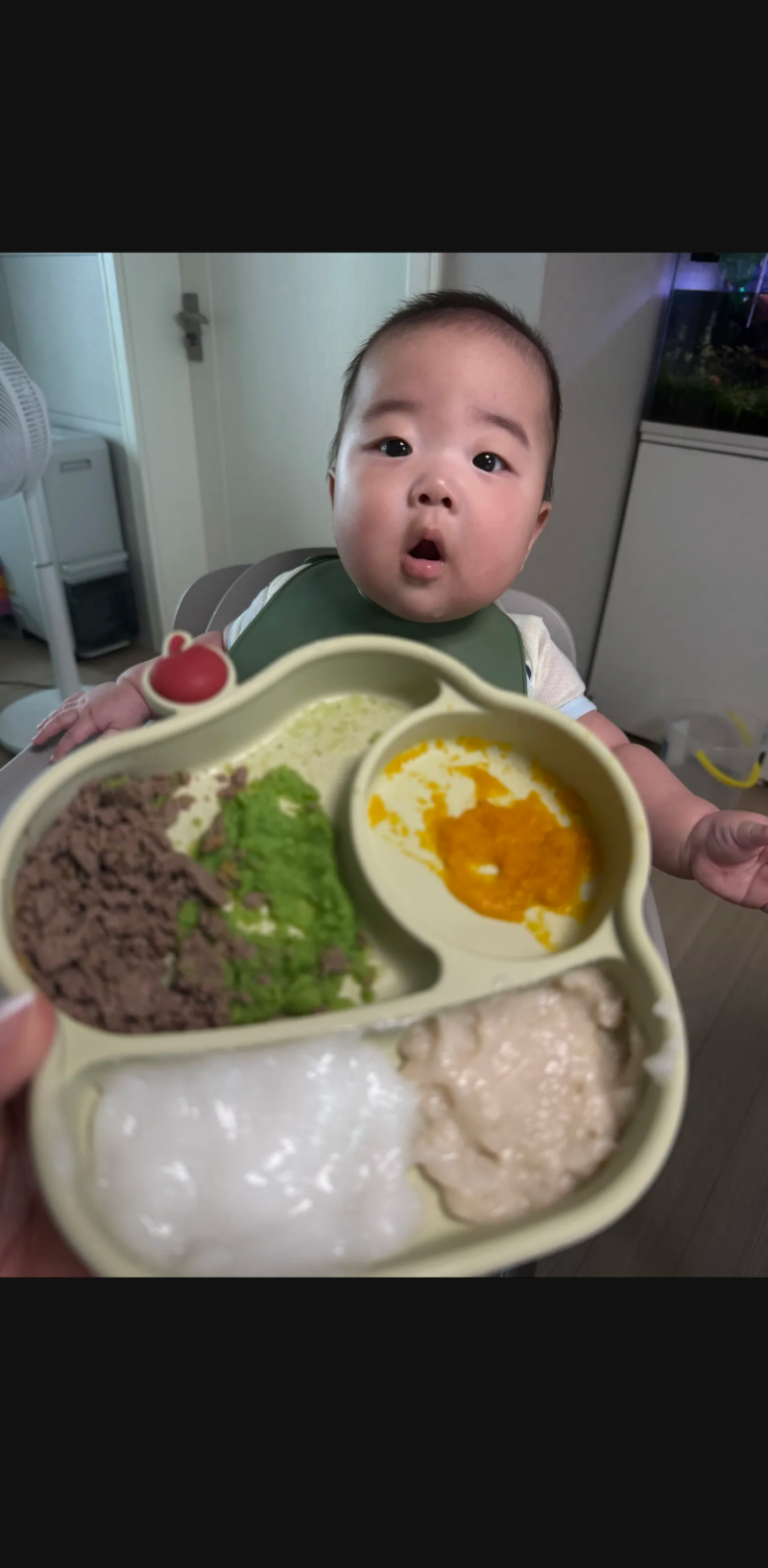 [솔직 후기] 초기 이유식 핸드블렌더 고통 끝! 에버홈 두유제조기 이유식 실사용기 (단점 & 세....