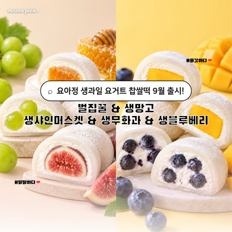 요아정 생과일 요거트 찹쌀떡 출시! 동덕여대점에서 GET 먹는법 보관 후기 솔직히 맛은 어땠....