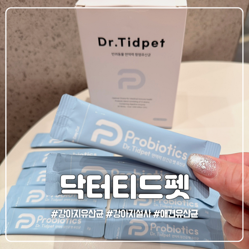 강아지유산균 추천 닥터티드펫, 12종 프로바이오틱스 직접 급여 후기