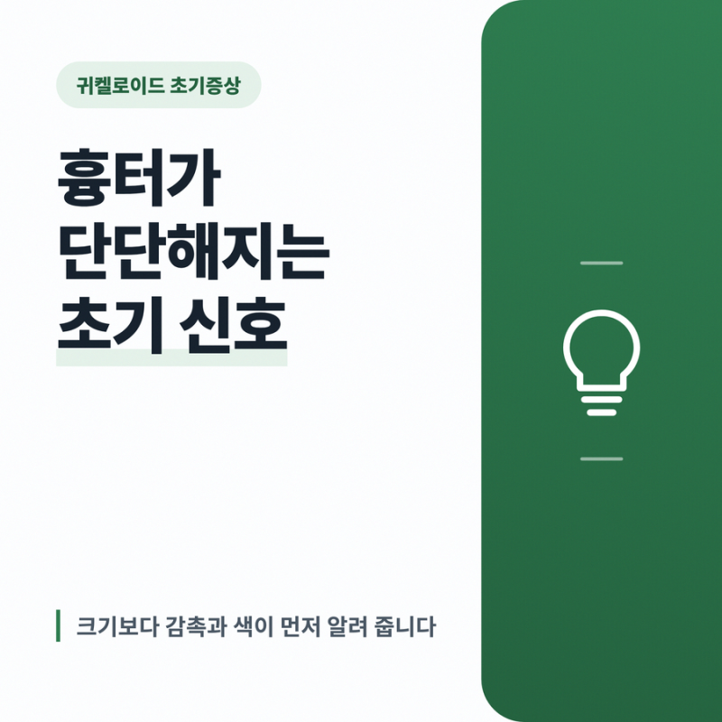 귀켈로이드 초기증상 흉터가 단단해지는 조건