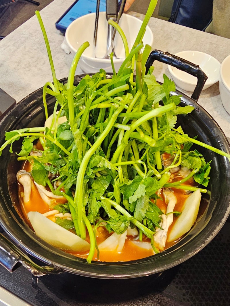강남역모임장소 소고기샤브칼국수 맛집 등촌샤브칼국수 미나리빙하냉면 풀코스
