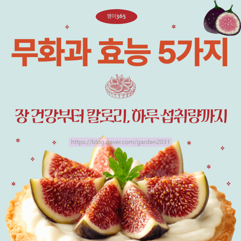 무화과 효능 5가지｜장 건강부터 칼로리, 하루 섭취량까지