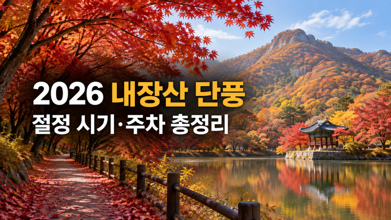 2026 내장산 단풍, 언제 가야 가장 예쁠까?