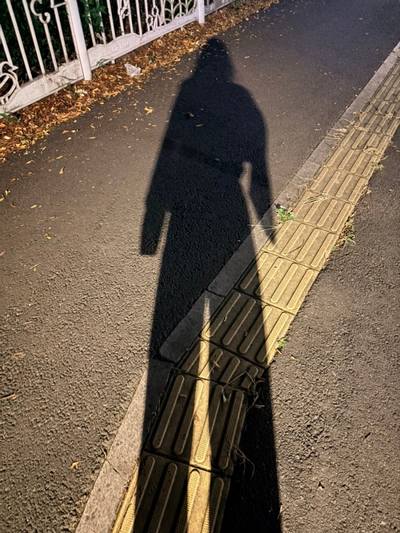 불과 하루만에 양극단을 넘나들다(난소 복강경 수술 예정)