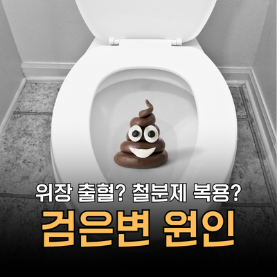 갑자기 검은변이 나오는 이유가 무엇인가요? 검은똥 원인 대처법 위험신호 총정리