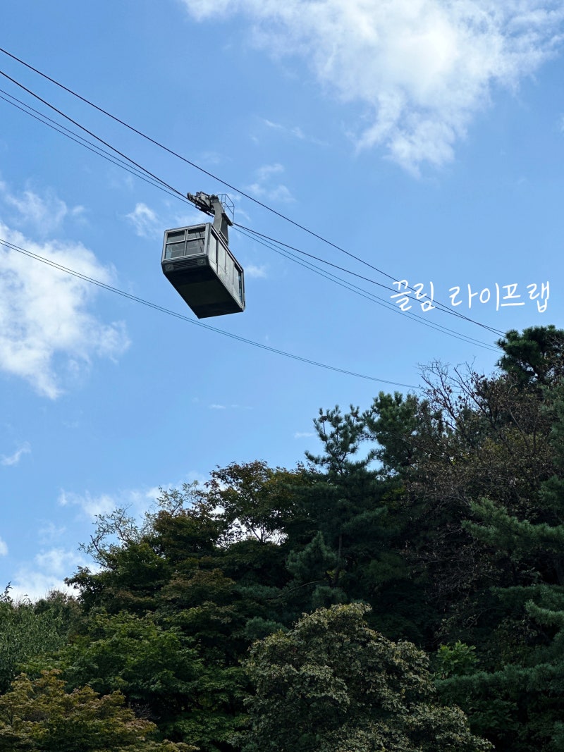남산타워 가는법 어떻게? 케이블카 전망대 주차장 이용 방법 (n서울타워)