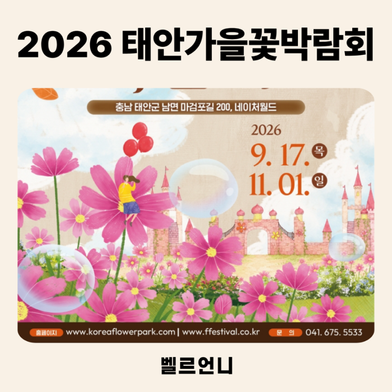 2026 태안 가을꽃박람회, 아이와 가볼만한곳 찾는다면 지금 시작한 이 축제