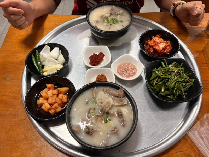 창원 돼지국밥 맛집 돼지집 창원 사파동 맛집 창원 국밥 여기로 정착 인생맛집 됨
