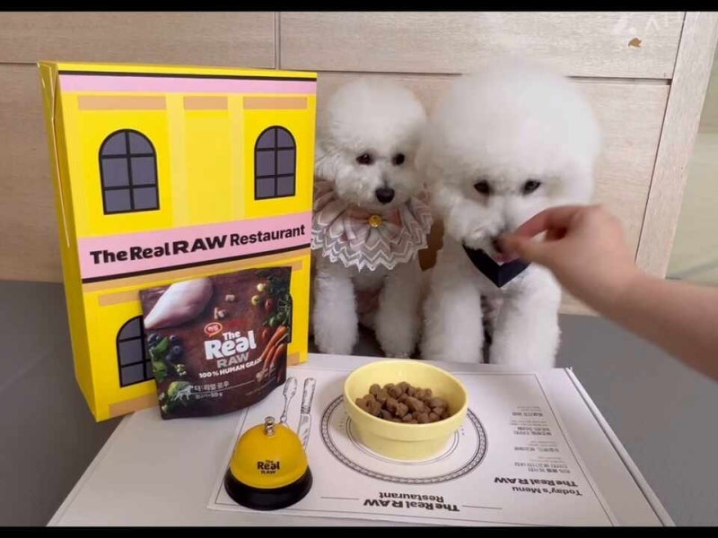하림더리얼 퀴즈 정체, 알고보니 두 가지였다는데 참여방법까지 총정리