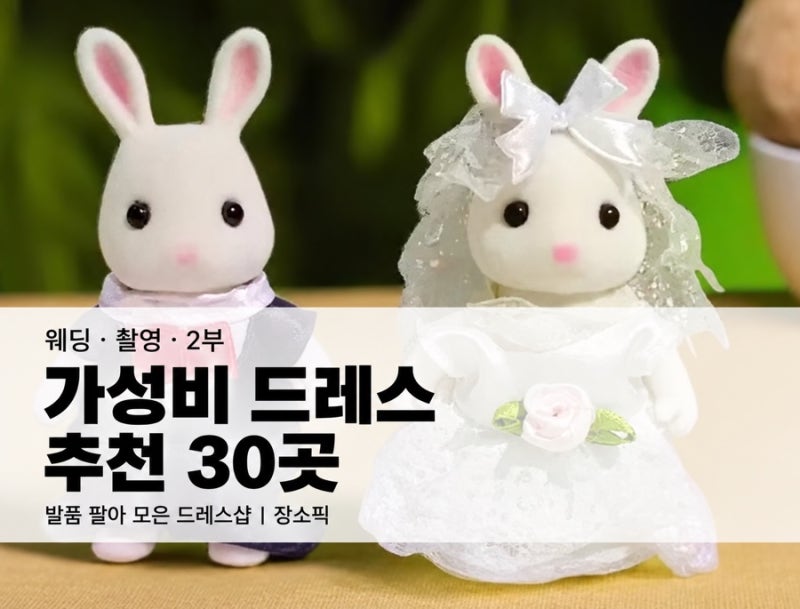 ️ 가성비 웨딩/촬영/2부 드레스 추천 30곳, 셀프 웨딩드레스 추천 리스트