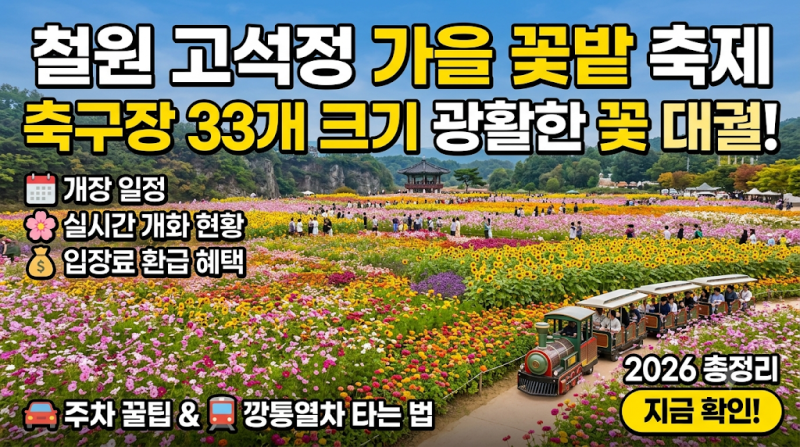 "축구장 33개 크기의 광활한 꽃 대궐!" 2026 철원 고석정 가을 꽃밭 축제 개장 일정·실시간 개....