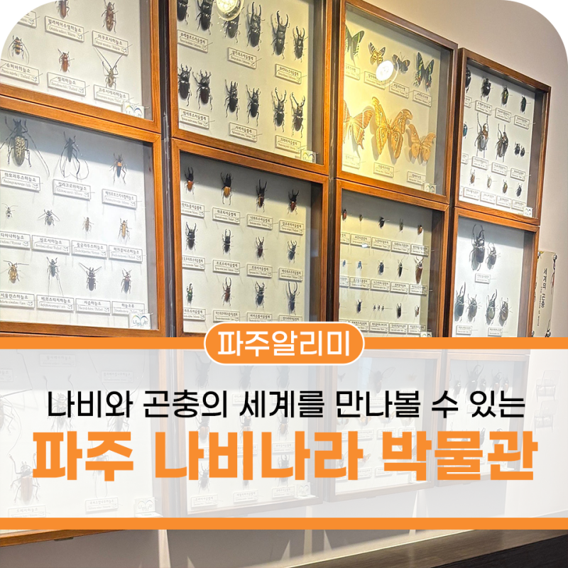 나비와 곤충의 세계를 만나볼 수 있는 파주 나비나라 박물관