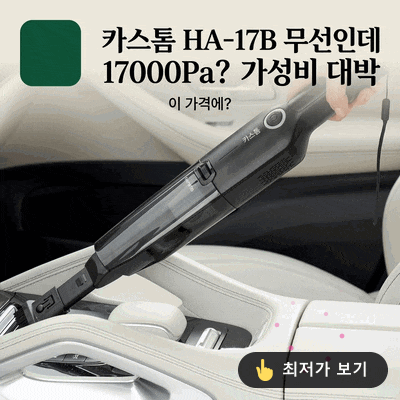 차량용청소기 카스톰 HA-17B 무선인데 17000Pa? 가성비 대박