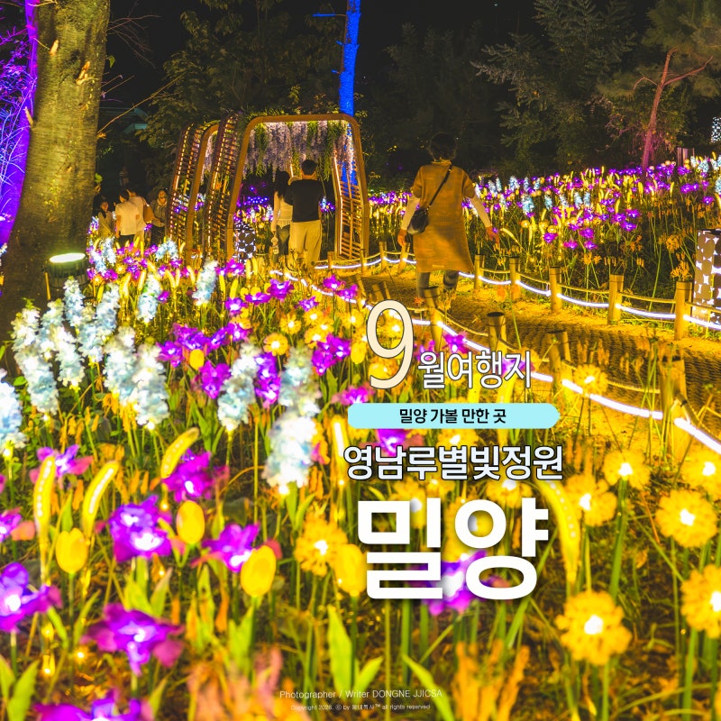 추석 연휴 가볼만한 곳 밀양 영남루 별빛정원 상사화 야간산책 9월 무료개방 시범운영 중