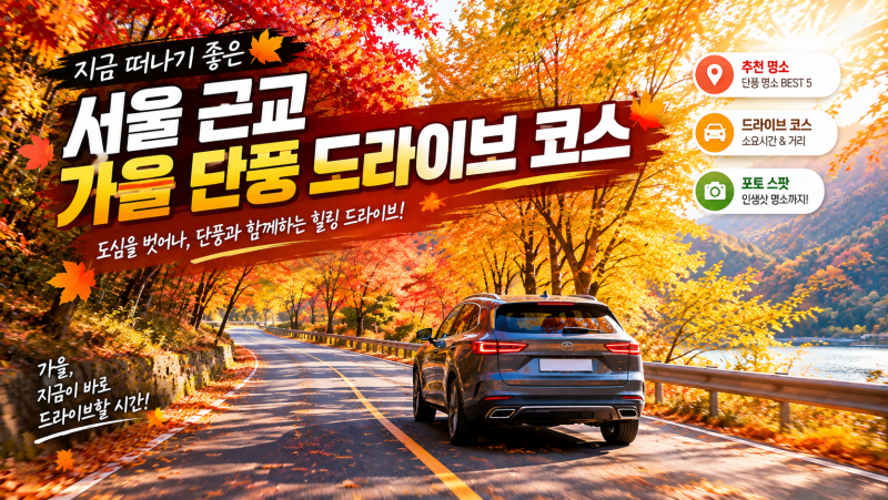 주차 걱정 없는 서울 근교 가을 단풍 드라이브 명소 완벽 총정리