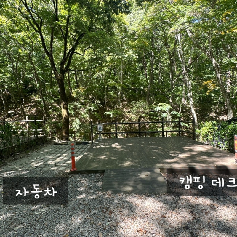 당일치기 캠프닉! 대구근교 캠핑장 '치인야영장'