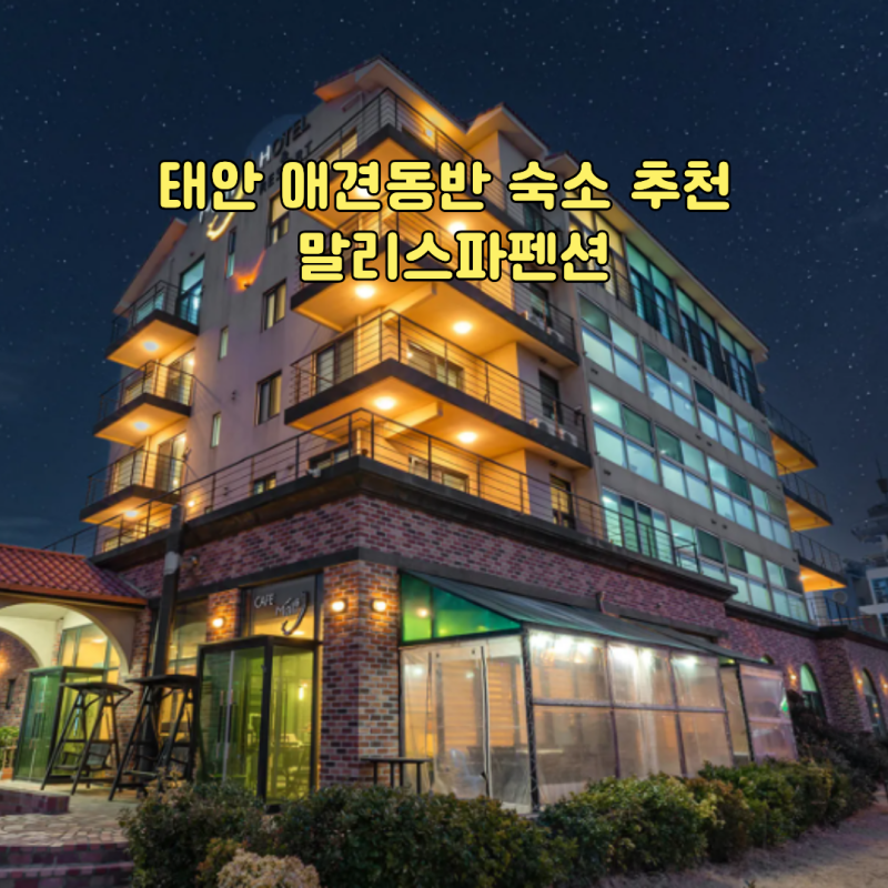 태안 애견동반 숙소 추천 말리스파펜션 만리포 바베큐·수영장·스파