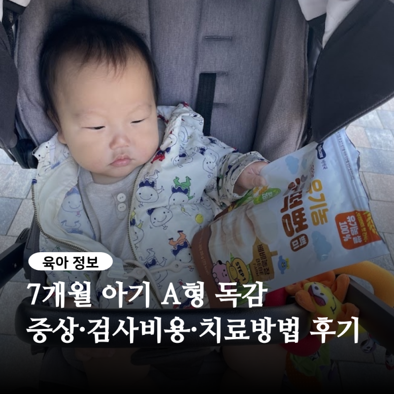 7개월 아기 A형 독감 증상, 검사 비용, 치료방법 후기