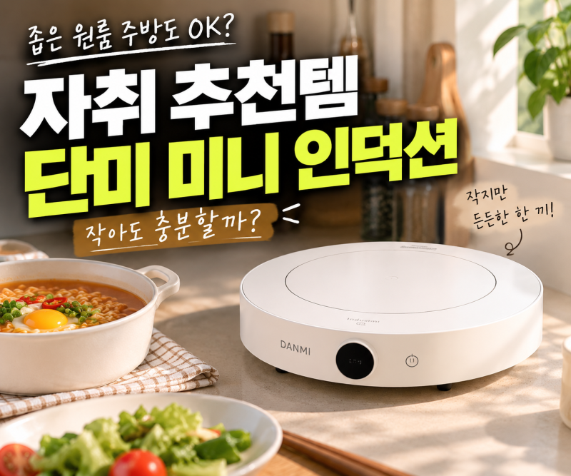 단미 1구 인덕션 미니 휴대용 전기레인지 원형 캠핑 인덕션렌지(+ 자취 원룸 추천)