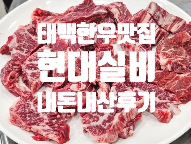 [태백] 허영만 식객. 현대실비 한우 식당 내돈내산 후기