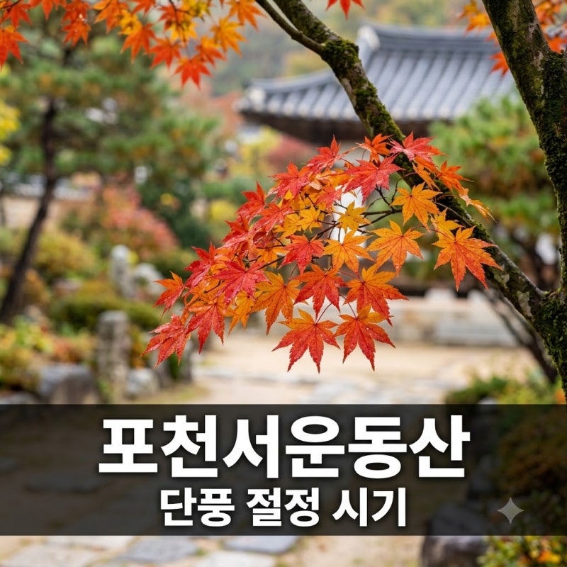 "10월이면 난리 나죠.." 포천서운동산 단풍 절정, 지금 예약해야 하는 이유