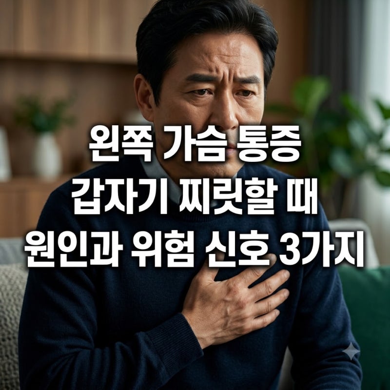왼쪽 가슴 통증 갑자기 찌릿할 때 원인과 위험 신호 3가지