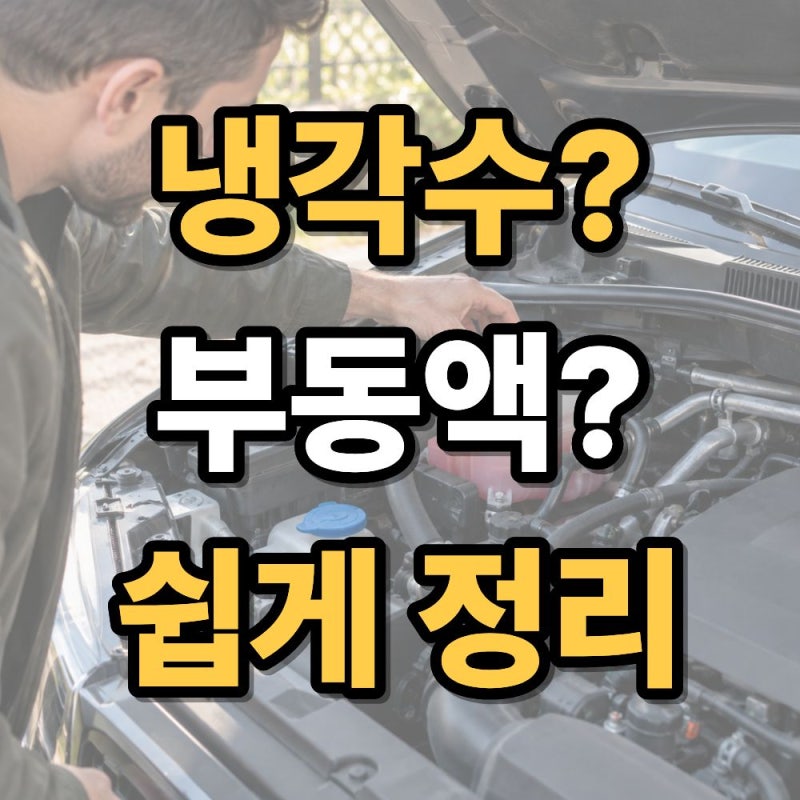 냉각수와 부동액 차이 무엇일까? 자동차 초보도 쉽게 정리