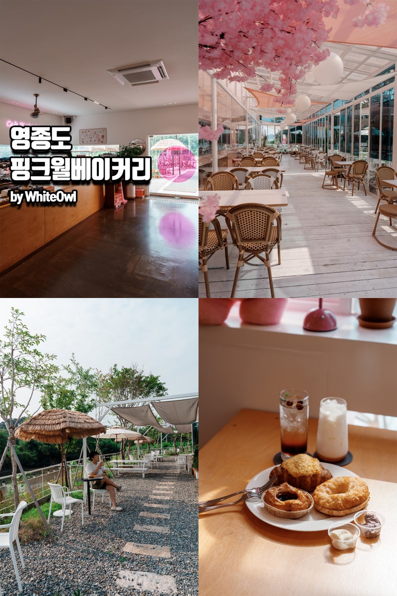 영종도 을왕리 애견동반 데이트 강아지와 핑크월카페 베이글 맛집 가이드