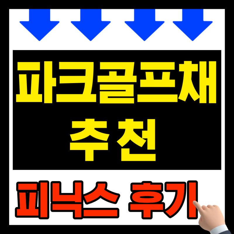 파크골프채 추천｜피닉스 파크골프채 실사용 후기, 입문 가격대