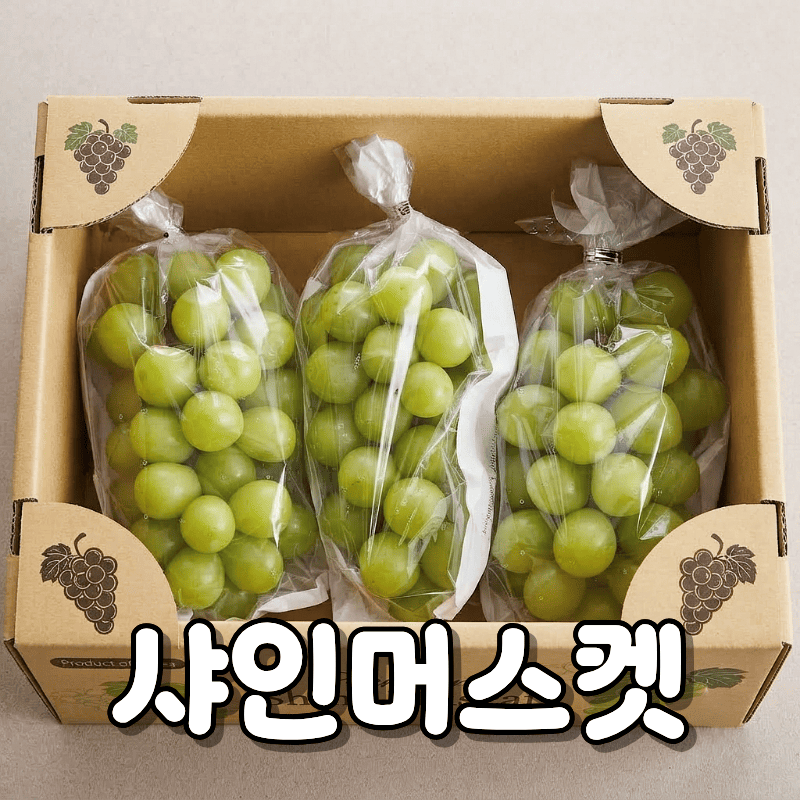 샤인머스켓 효능, 세척과 보관까지 알고 드시면 굿!