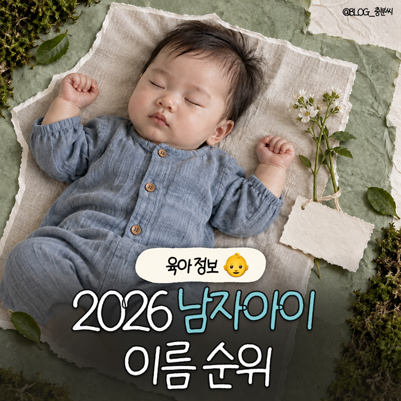 2026 남자 아기 이름 순위 TOP 20 (대법원 출생신고 기준)