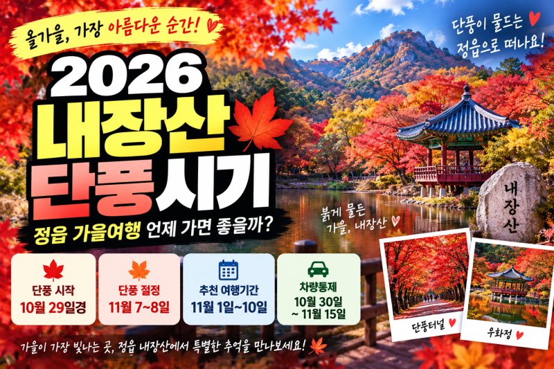2026 내장산 단풍시기｜정읍 가을여행 언제 가면 좋을까?