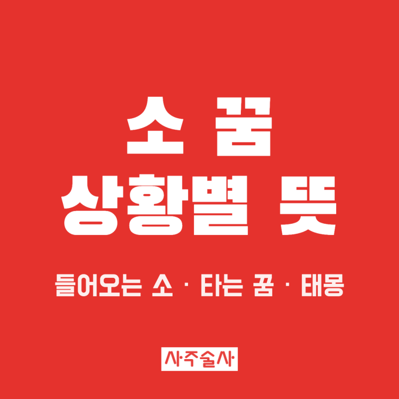 소 꿈 해몽, 집에 들어오는 소 꿈 소 타는 꿈 황소 검은 소 상황별 뜻